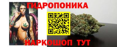 шишки Северобайкальск