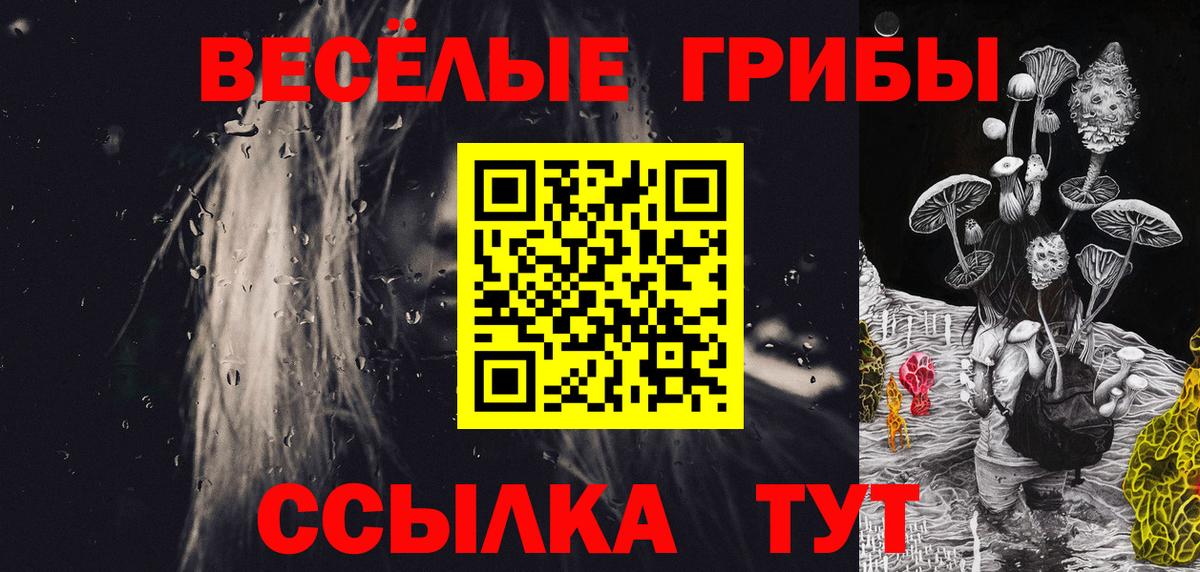 Галлюциногенные грибы MAGIC MUSHROOMS  Вход с VPN  Скопин 